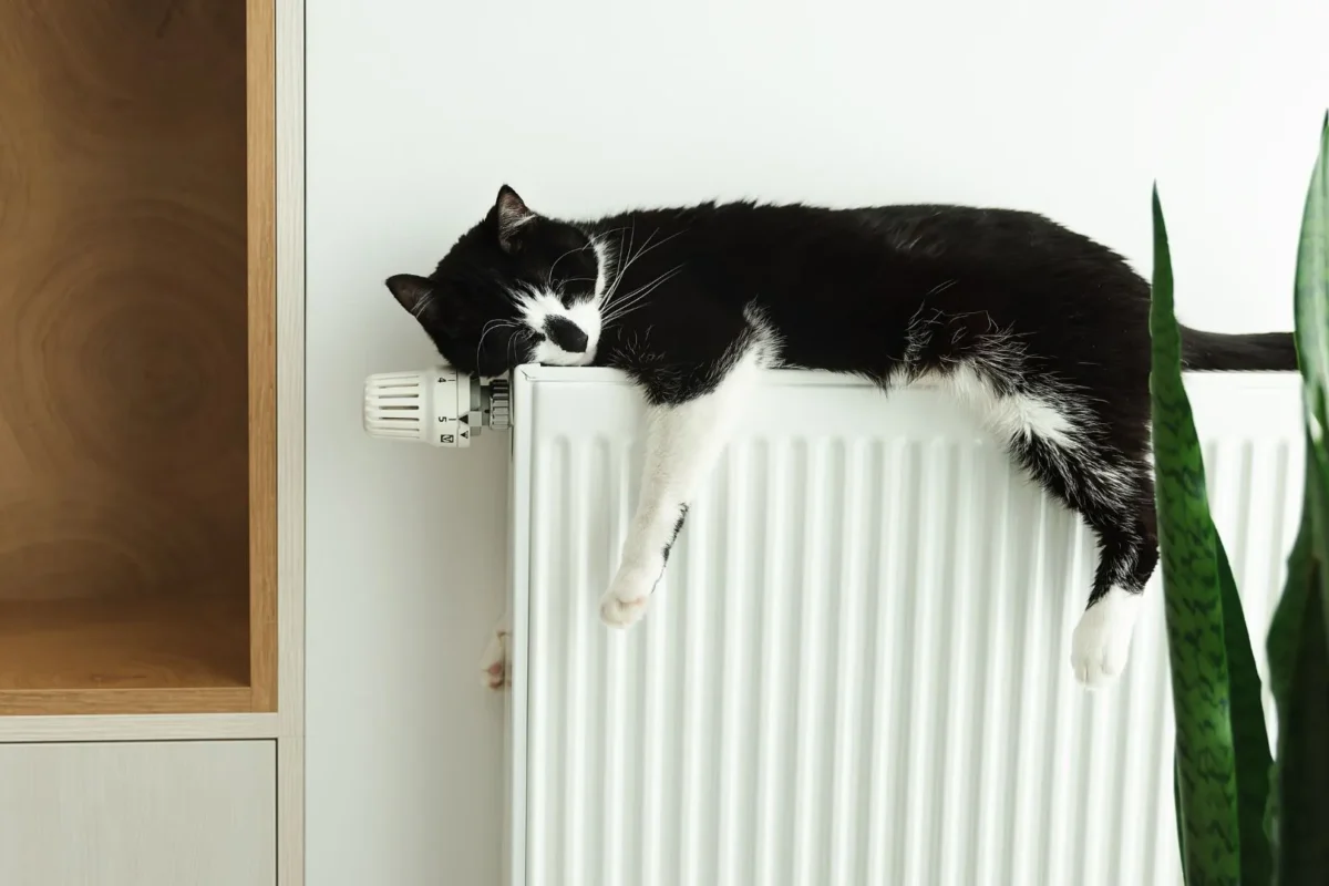 Máis Enerxia Galega