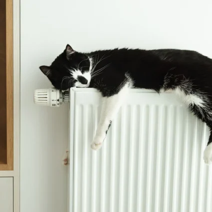 Máis Enerxia Galega