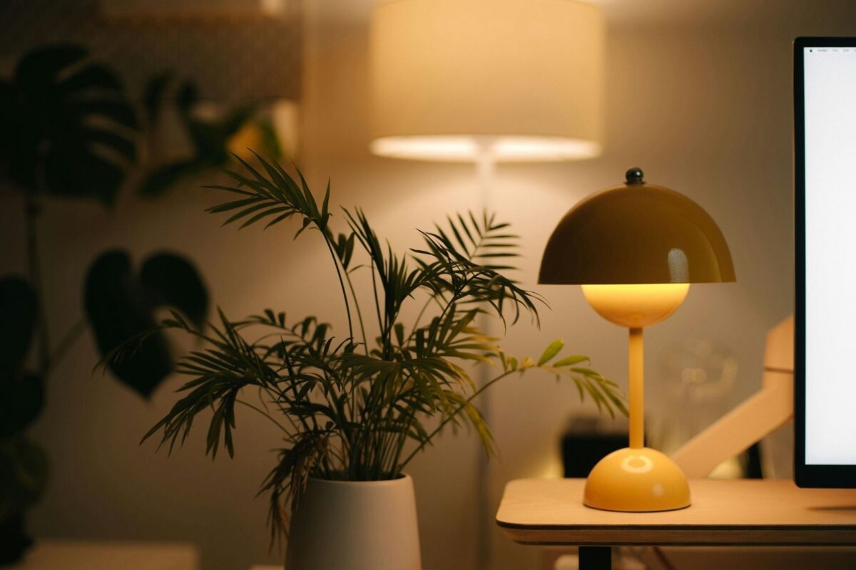 En la imagen se observa una pequeña planta de interior al lado de una mesa sobre la que hay una lámpara encendida. Al fondo se observa una lámpara de pie también encendida en lo que podría ser un salón de cualquier hogar.